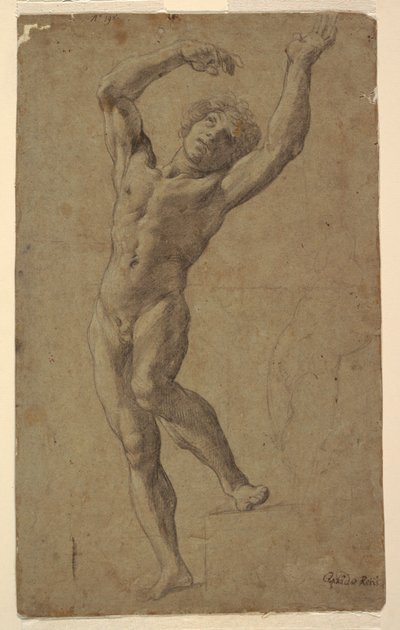 Studium dla św. Sebastiana, Muzeum Pomarici Santomasi, Apulia, Włochy autorstwa Guido Reni