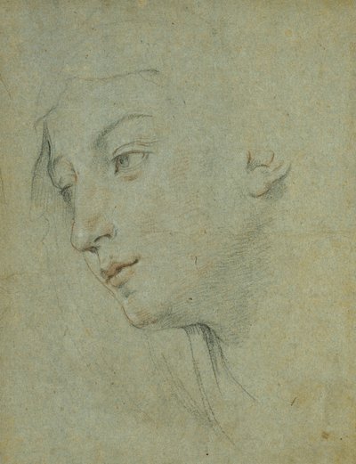 Głowa kobiety patrzącej w lewo, autorstwa Guido Reni