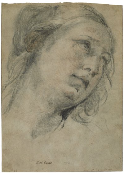Głowa młodej kobiety patrzącej w górę, ok. 1609 (czarno-czerwona kreda z akcentami białej kredy na brązowym papierze wykładanym) autorstwa Guido Reni
