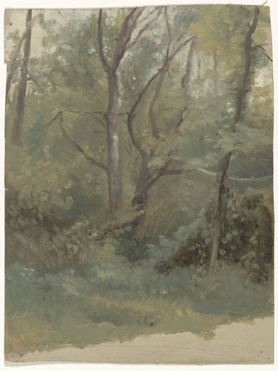 leśny widok autorstwa Guillaume Anne van der Brugghen