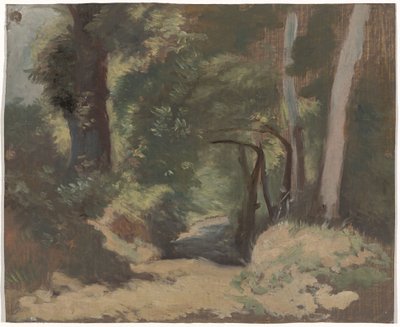 leśna droga autorstwa Guillaume Anne van der Brugghen