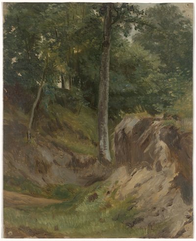 Suchy strumień w lesie autorstwa Guillaume Anne van der Brugghen