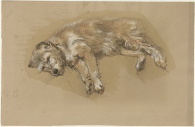 leżący pies autorstwa Guillaume Anne van der Brugghen