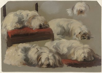 Badania białego psa na kolanach autorstwa Guillaume Anne van der Brugghen
