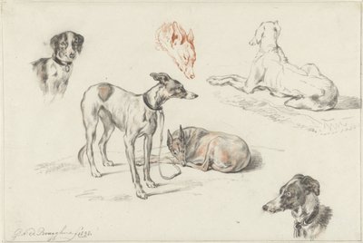 Badania psów autorstwa Guillaume Anne van der Brugghen