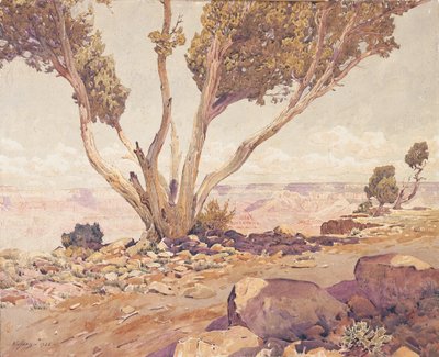 wielki Kanion autorstwa Gunnar Widforss