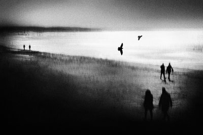 Spacer po zamglonej plaży autorstwa Gustav Davidsson