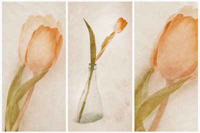 Delikatna martwa natura z tulipanami autorstwa Gustav Davidsson