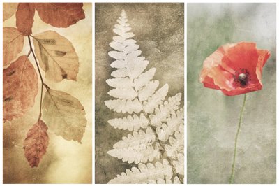 Trio Vintage Nature autorstwa Gustav Davidsson