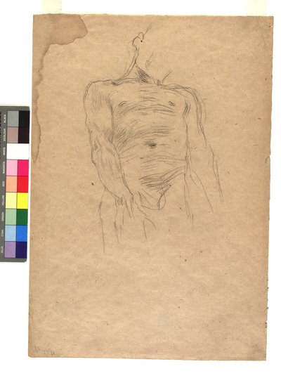 Männlicher Torso autorstwa Gustav Klimt