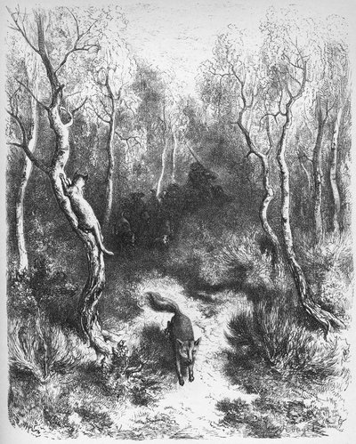 le chat et le fox - Lis i kot - z "Bajek" Jeana de La Fontaine (Lafontaine) (1621-95) - grawerowanie wg Gustave