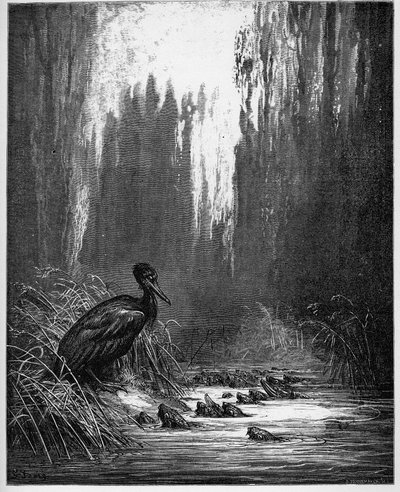 ryba i kormoran - ryba i kormoran - z "Bajek" Jeana de La Fontaine (Lafontaine) (1621-95) - grawer wg Gustave