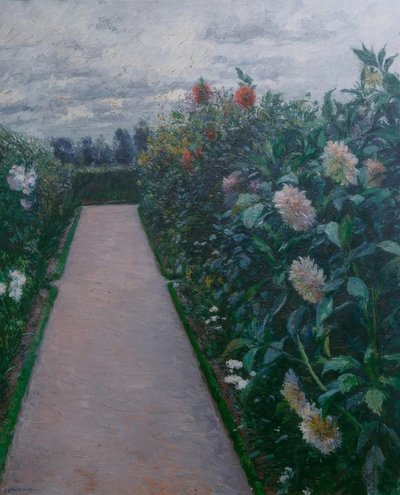Ścieżka ogrodowa i rabaty dalii, Petit Gennevilliers autorstwa Gustave Caillebotte
