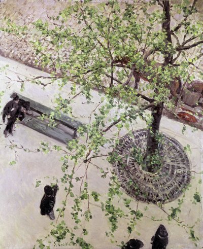 Bulwar widziany z góry, 1880 autorstwa Gustave Caillebotte