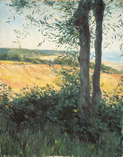 Nad morzem, Normandia, 1884 autorstwa Gustave Caillebotte