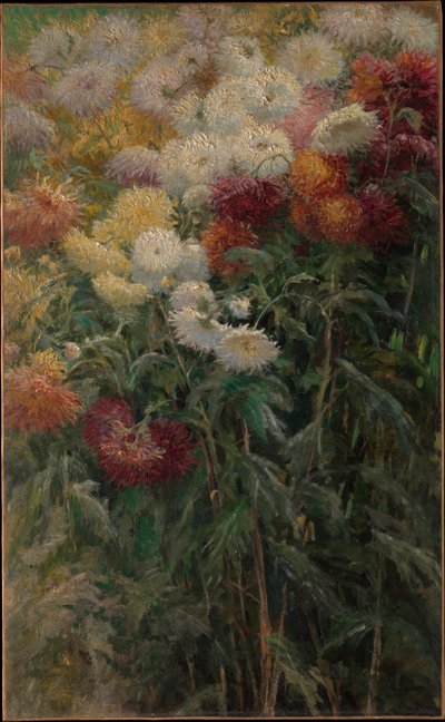 Chryzantemy w ogrodzie w Petit-Gennevilliers autorstwa Gustave Caillebotte