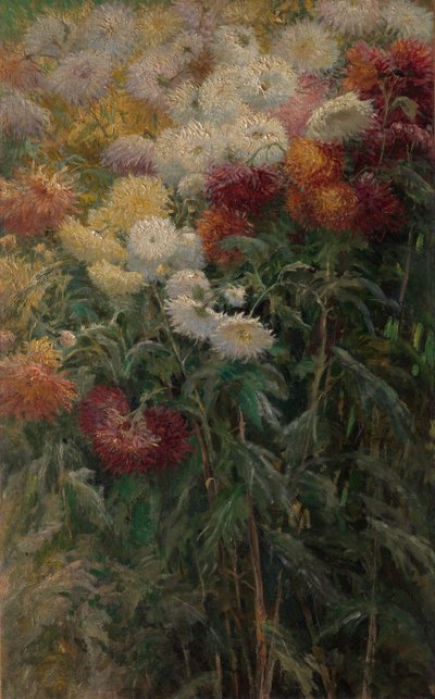 Chryzantemy w ogrodzie w Petit-Gennevilliers autorstwa Gustave Caillebotte