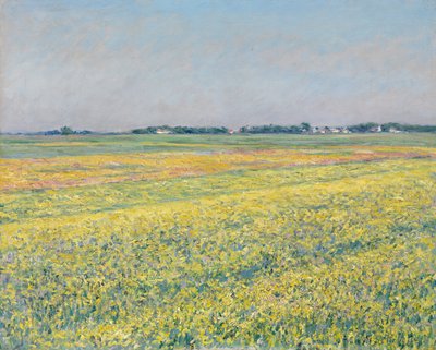 Równina Gennevilliers, żółte pola autorstwa Gustave Caillebotte