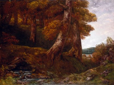 Wejście do lasu, ok. 1855 (olej na płótnie) autorstwa Gustave Courbet