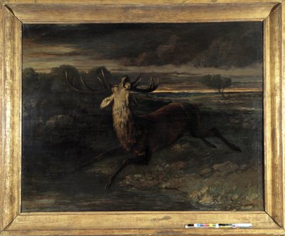 Jeleń ma wodę (poluje na wybieg) mówi siła jelenia (olej na płótnie) autorstwa Gustave Courbet