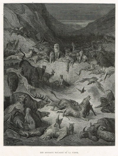 Zwierzęta chore na zarazę autorstwa Gustave Dore