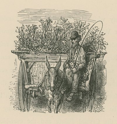 Mężczyzna jadący wozem wyładowanym roślinami i kwiatami autorstwa Gustave Dore