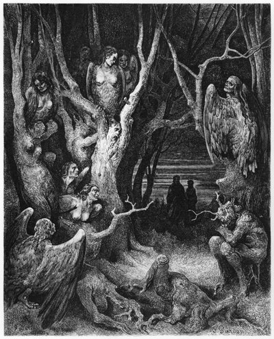 Harpie, ilustracja z "Boskiej komedii" (Inferno) Dantego Alighieri (1265-1321) Paryż, wyd. 1885 r. autorstwa Gustave Dore