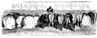 Historia Świętej Rosji. Wielki bal w Pałacu Zimowym, 1854. autorstwa Gustave Dore