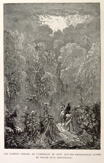 Ilustracja amerykańskiego lasu z La legende de Croque-Mitaine. autorstwa Gustave Dore