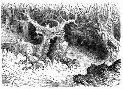 Monstrualny buk w dolinie Ossau, antropomorficzne drzewa-potwory. Rycina Gustave
