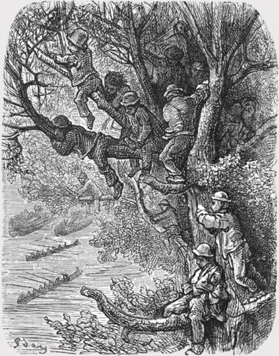 „Usiadł na drzewach”, 1872. autorstwa Gustave Dore