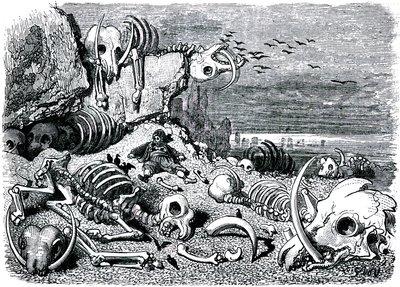 Sindbad żeglarz (Sinbad) - baśń tysiąca i jednej (1001) nocy - ilustracja Gustave Dore - wydanie Maxwell 1865 - Siódma i ostatnia podróż: cmentarz słoni, gdzie Sindbad odzyska obronę z kości słoniowej autorstwa Gustave Dore