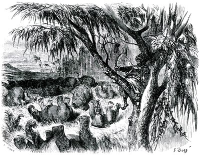 Sindbad Żeglarz (Sinbad) - baśń tysiąca i jednej (1001) nocy - ilustracja Gustave Dore - wydanie Maxwell 1865 - Siódma podróż: Sindbad, okoń na drzewie, ciągnie dziobem na słoniach autorstwa Gustave Dore