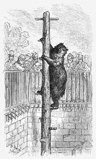„Niedźwiedzia jama – ogrody zoologiczne”, 1872 r. autorstwa Gustave Dore