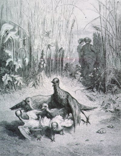 Bajka skowronka, jej dzieci i mistrz pola, ilustracja do Bajek La Fontaine