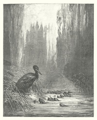 Bajki La Fontaine