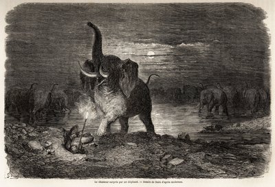 Myśliwy zaskoczony przez słonia w pobliżu jeziora Ngami (Botswana), rysunek Gustave dore (1832-1883), ilustrujący przygody i polowania Charlesa Jeana Andersona w południowej Afryce. Grawerowanie w „”Le tour du monde, nouveau journal des voyages””Paryż autorstwa Gustave Dore