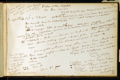 Folio 41 zeszytu ćwiczeń nr. 19 Strona rękopisu szkiców Gustawa Flauberta. Plany na Bouvard i Pecuchet. BWP. autorstwa Gustave Flaubert