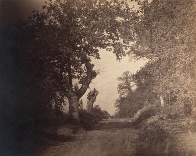 Fontainebleau, piaszczysta ścieżka pod górę, ca. 1856. autorstwa Gustave Le Gray