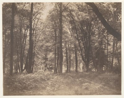 La forêt de Fontainebleau (Las w Fontainebleau) autorstwa Gustave Le Gray