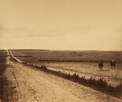 [Manewry, Camp de Chalons]. autorstwa Gustave Le Gray