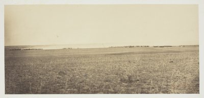 Bez tytułu autorstwa Gustave Le Gray