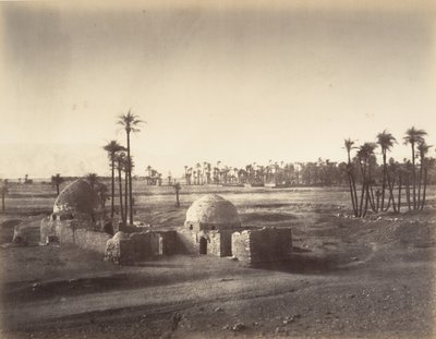 Widok Równiny Teb ze świątyni Karnac, 1867. autorstwa Gustave Le Gray