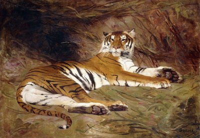 Leżący tygrys autorstwa Gustave Surand