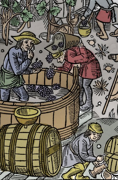 Zbiory - winobranie - Kalendarz pasterza - Praca miesiąca - Październik - Drzeworyt z książki z 1496 r. wydrukowanej przez Guya Marchanta (Guido Mercator) w Troyes - Drzeworyt w „Le grand Calendrier et compost des shepherds”” - Zbiory - a to autorstwa Guy Marchant