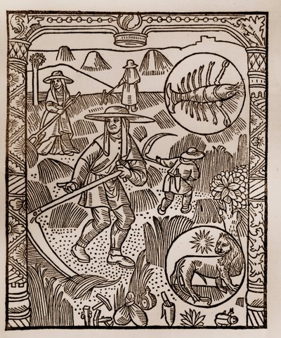 Kalendarz pasterza - Praca miesiąca - Lipiec - Drzeworyt z książki z 1496 r. wydrukowanej przez Guya Marchanta (Guido Mercator) w Troyes - Hay, la coupe des hay - Grawerowanie sur bois in „” Le grand Calendrier et compost des shepherds” - autorstwa Guy Marchant