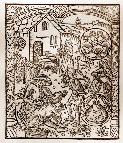 Kalendarz pasterza - Praca miesiąca - Czerwiec - Drzeworyt z książki z 1496 r. wydrukowanej przez Guya Marchanta (Guido Mercator) w Troyes - Drzeworyt w "Le grand Calendrier et compost des shepherds" - autorstwa Guy Marchant