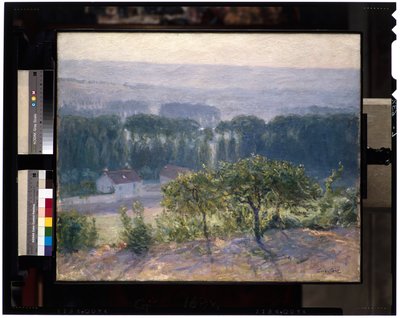 Późne popołudnie, Giverny, ok. 1905-13 (olej na płótnie) autorstwa Guy Rose