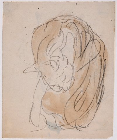 Studium kota (akwarela z ołówkiem na papierze) autorstwa Gwen John