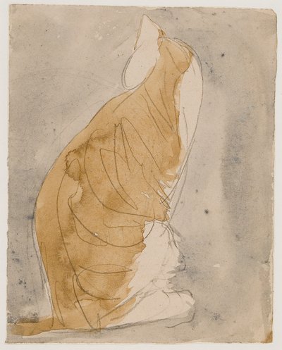 Studium kota (akwarela i ołówek na papierze) autorstwa Gwen John